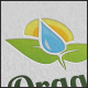 Organic Logo - GraphicRiver Item for Sale