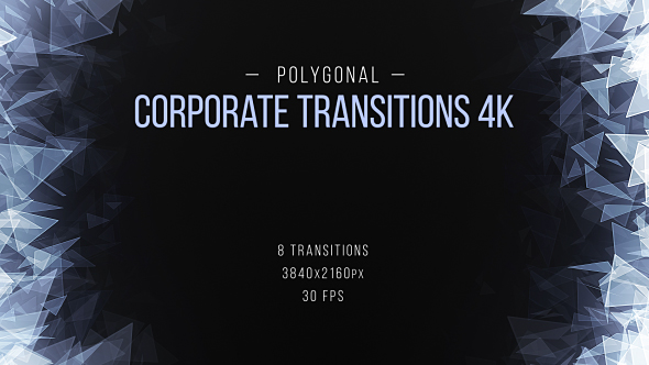 Polygonal Corporate Transitions