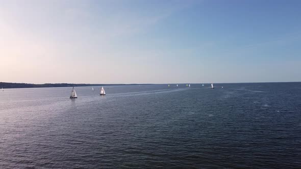 Aerial View of Sailing Regatta