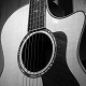 Acoustic Blues Loop - AudioJungle Item for Sale
