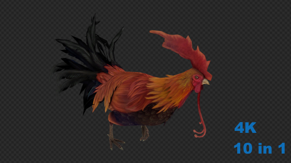 Chicken Pack alt
