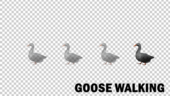 Farm Animals - Goose Walk alt