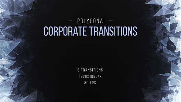 Polygonal Corporate Transitions alt