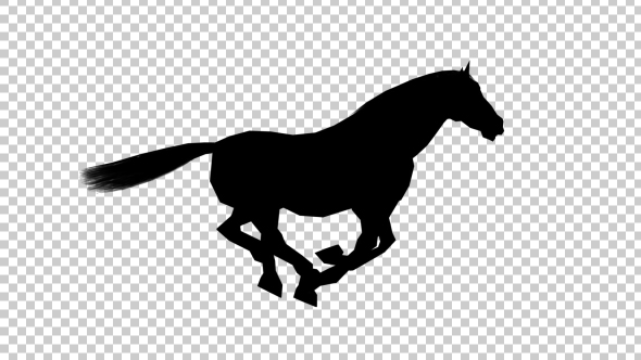 Horse Gallop alt