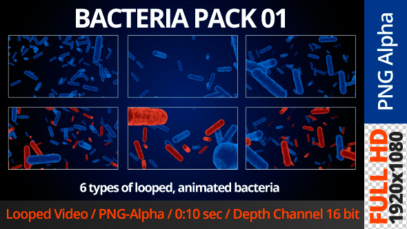 Bacteria Pack 1 alt
