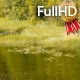 Calm Lake Landscape Upper View - VideoHive Item for Sale