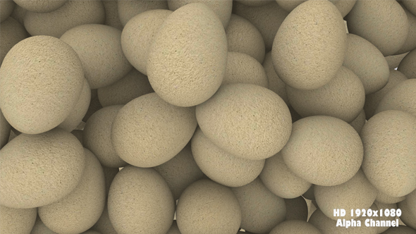 Eggs Transition 2 alt