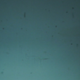 Old Film 1 - VideoHive Item for Sale