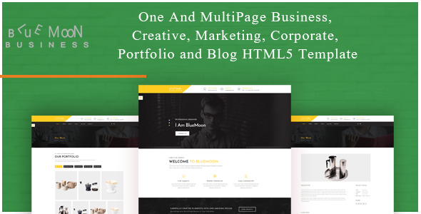 BlueMoon - One and Multipage Creative , Business , Corporate Agency and Portfolio HTML5 Template