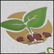 Plant Seeds Logo - GraphicRiver Item for Sale