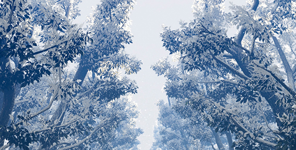 Deciduous Plants In Snow