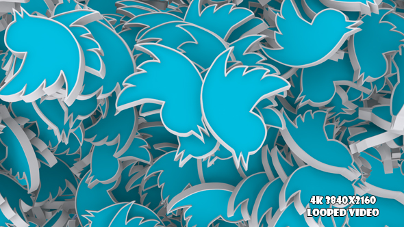 Rain Twitter Bird Transition 2 alt