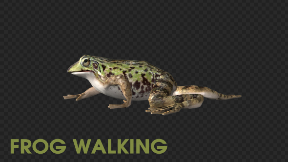 Frog Walking alt