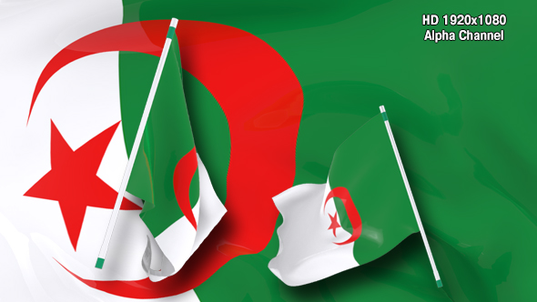 Flag Transition - Algeria alt