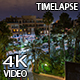 Night Street With Palm Trees - VideoHive Item for Sale