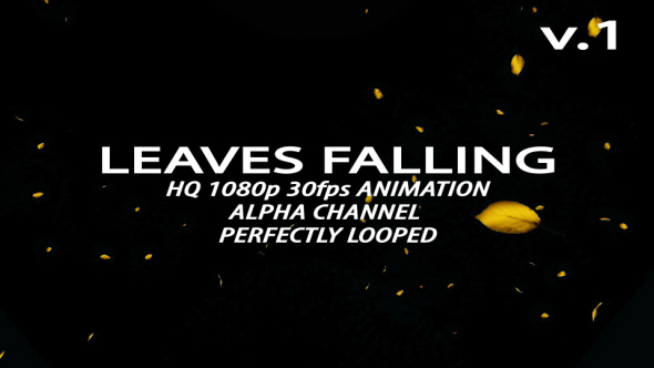 Leaves Falling alt