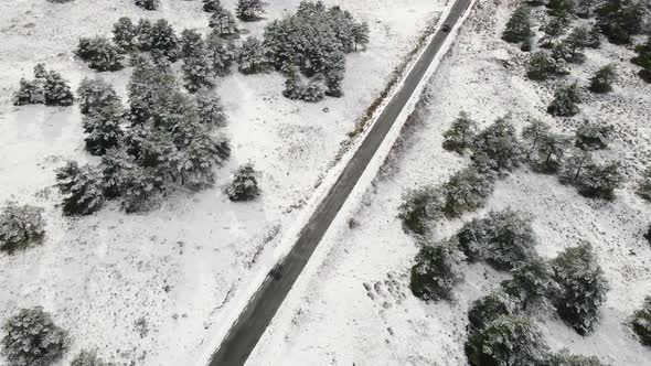 Aerial View of Snow Covered Trees in Forest and Winter Country Road with a Car