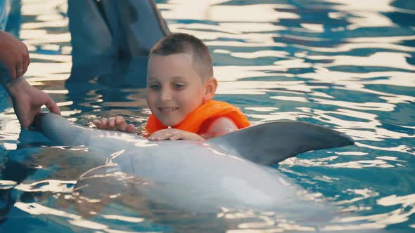 Boy Swimming with Dolphins in the Pool