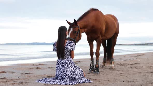 A beautiful girl with long hair in a blue dress kisses her horse on the head on the beach during the