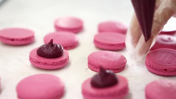 Process of Making Macaron Macaroon French Dessert Squeezing the Dough Form Cooking Bag