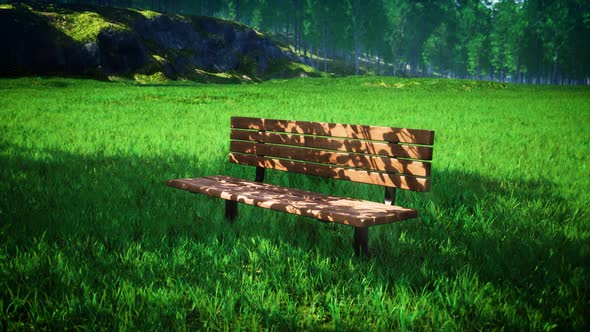 Shady Wooden Bench On The Windy Grassfield 4K 01