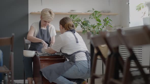 Caucasian Girl Teaches an Elderly Puppy to Work on a Potter's Wheel