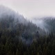The Fog Spills Over the Spruce Forest Cold Rainy Weather - VideoHive Item for Sale