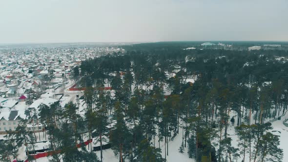 Cottage Town Covered with Snow at Pines and River Upper View
