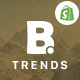 Shopify Theme - Btrend - Drag And Drop Responsive Bootstrap - ThemeForest Item for Sale