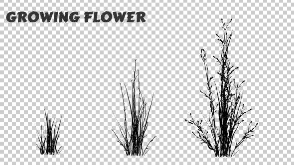 Growing Flower Silhouette alt