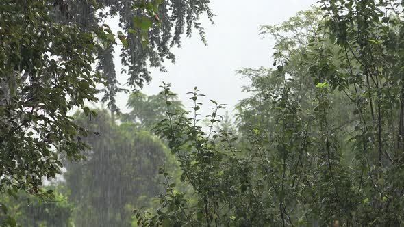 Heavy Rain