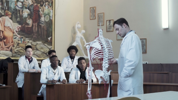 Group of Medical Students at an Anatomy Lecture