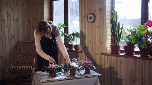 Young Woman Watering Flowers Inside Home