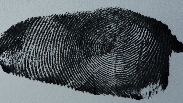 Fingerprint on White Paper