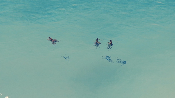 People in the Sea alt