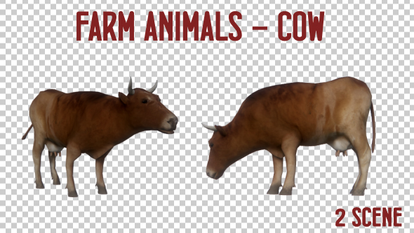 Farm Animals - Cow - 2 Scene alt