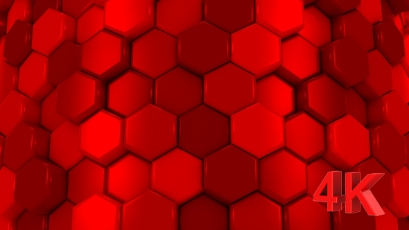 Animated Honeycombs Changes Color