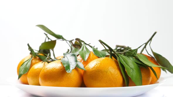 Pile of Tangerines with Green Leaves