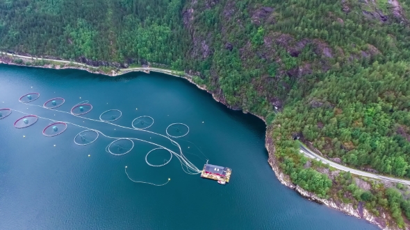 Aerial Footage Farm Salmon Fishing in Norway