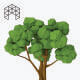 Lowpoly Rendered Trees - GraphicRiver Item for Sale