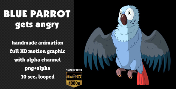 Blue Parrot Gets Angry