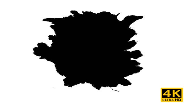 Ink Drops on Wet Paper 21