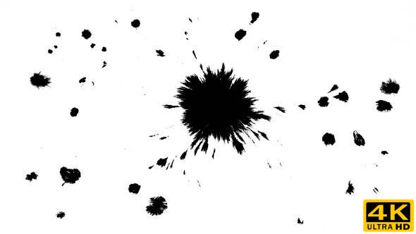 Ink Drops on Wet Paper 07