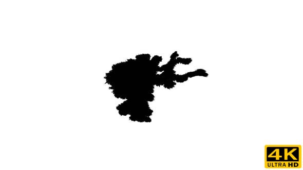 Ink Drops on Wet Paper 24