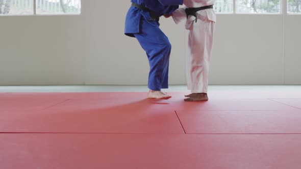 Judokas training by doing a randori on the judo mat