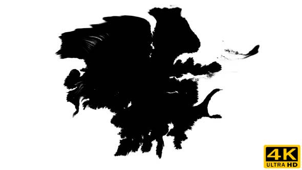 Ink Drops on Wet Paper 17