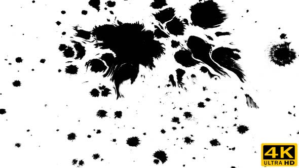 Many Ink Drops on Wet Paper 05