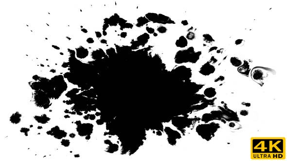 Several Ink Drops on the Wet Paper 04