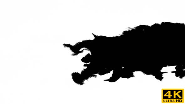 Inks Flow From Right To Left on Wet Paper 03