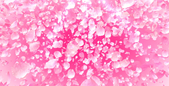 Petals Dense Background alt